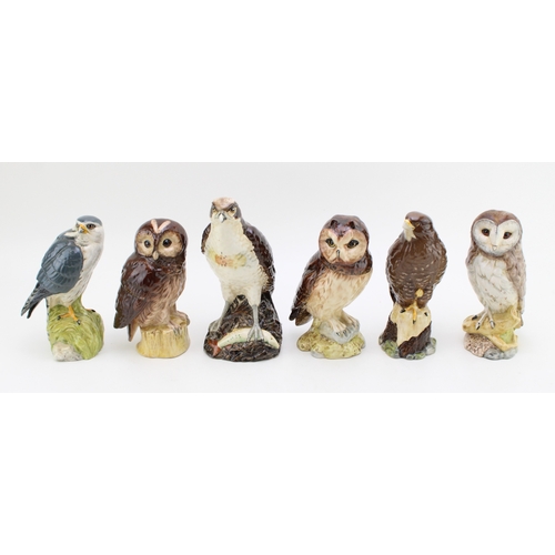 Lot 351       