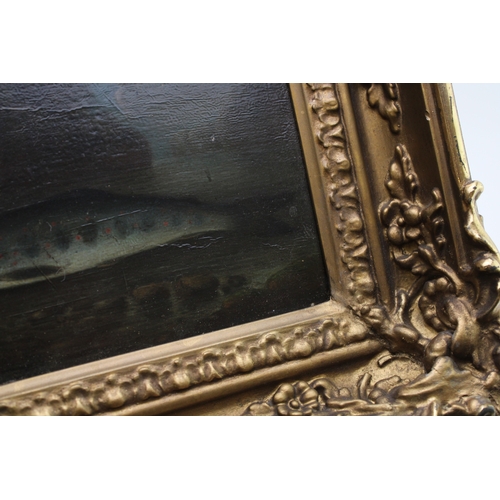 22 - A small 19th century oil on board depicting a fish in primitive / naive natural history style, likel... 