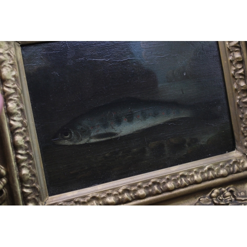22 - A small 19th century oil on board depicting a fish in primitive / naive natural history style, likel... 