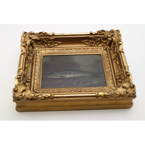 22 - A small 19th century oil on board depicting a fish in primitive / naive natural history style, likel... 