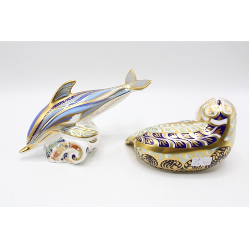 37 - A Royal Crown Derby paperweight, Harbour Seal, 15cm, number 606 of a limited edition of 4,500, gold ... 