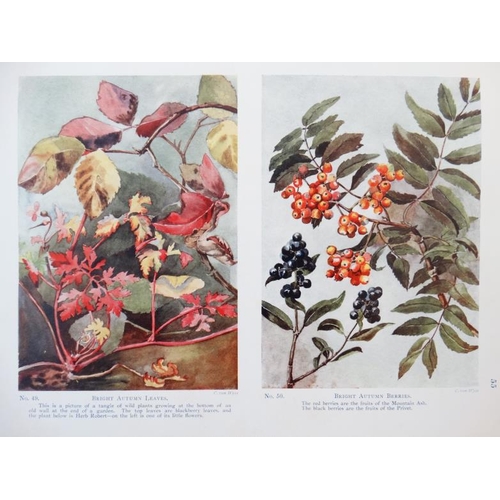 341 - Book: '' Gardens in their Seasons ; A Nature Book for Boys and Girls '' by C. Von Wyss, containing f... 