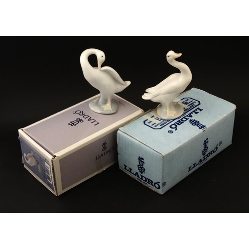 509 - A boxed Lladro '' Little Duck '' figure group modelled as  preening duck, by Fulgenico Garcia , Issu... 