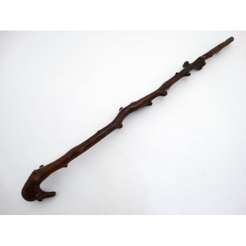 786 - A 19thC root stock walking stick.  35 1/2'' high