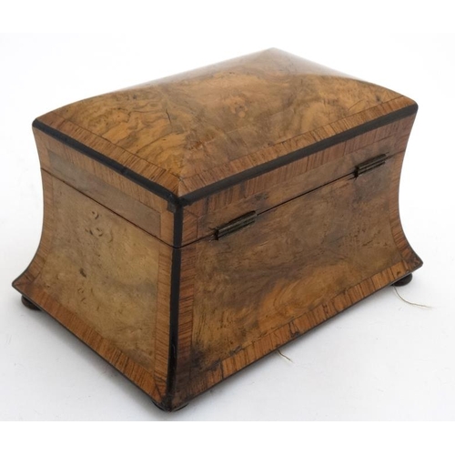 810 - A Victorian burr walnut cross banded concave 2 division tea caddy on squat bun feet.  8 1/4'' wide x... 