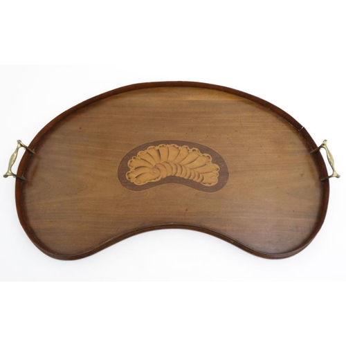 954 - An Edwardian Sheraton revival kidney shaped 2-handled tray with brass handles and shell inlay 26'' d... 