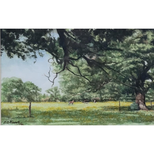 88 - Horses : EJ Cordell 1982, Watercolour,  ' Buttercup Meadow ' Horses in field of buttercups, Signed l... 