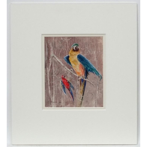 65 - Gail Bulen XX Wildlife illustrator, Watercolour and Pencil,  2 Macaw parrots,  Signed and dated '194... 