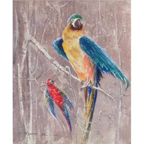 65 - Gail Bulen XX Wildlife illustrator, Watercolour and Pencil,  2 Macaw parrots,  Signed and dated '194... 