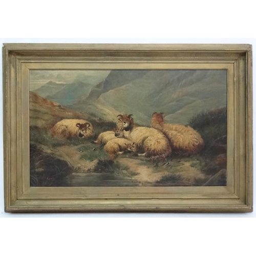 74 - Manner of William Henry Watson (1831-1921) Scottish School, Oil on Canvas, Highland Sheep. 30 1/2 x ... 