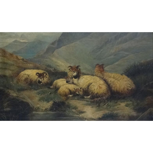 74 - Manner of William Henry Watson (1831-1921) Scottish School, Oil on Canvas, Highland Sheep. 30 1/2 x ... 