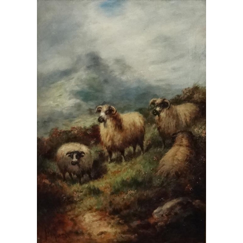 76 - John W. Morris ( a.1865-1898) British, Oil on canvas, Highland horned sheep on a mountain,  Signed l... 