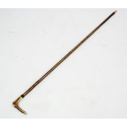 127 - Whistle Stick : A fine Antler handled Walking and Whistle Stick with Buffalo horn collar and Hazel s... 