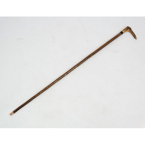 127 - Whistle Stick : A fine Antler handled Walking and Whistle Stick with Buffalo horn collar and Hazel s... 