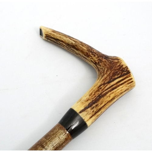 127 - Whistle Stick : A fine Antler handled Walking and Whistle Stick with Buffalo horn collar and Hazel s... 