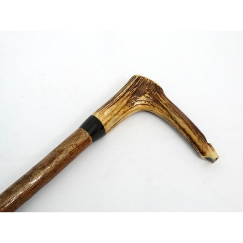 127 - Whistle Stick : A fine Antler handled Walking and Whistle Stick with Buffalo horn collar and Hazel s... 