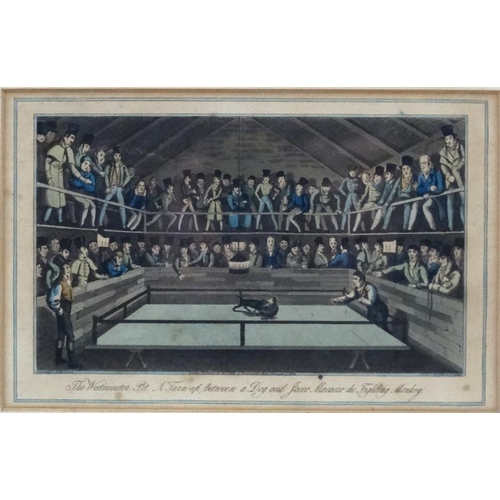 129 - Boxing  and another : Sutherland after S Alken Aquatint ' A ' set-to' at the fives court for the ben... 