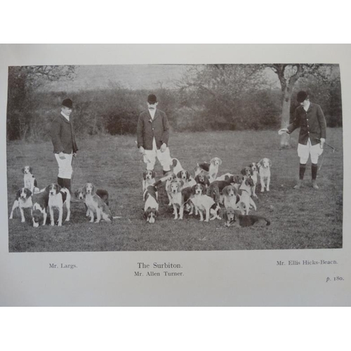 24 - Hunting Books: '' Beagles and Beagling '' by J Otho Paget, published by Hutchinson & Co, London , 19... 