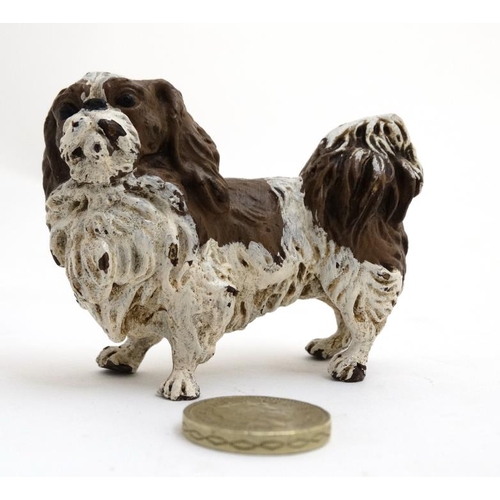 264 - Cold Painted Bronze : a scale  figure in liver and white of a Pekinese dog , marked ' Geshultz ' und... 