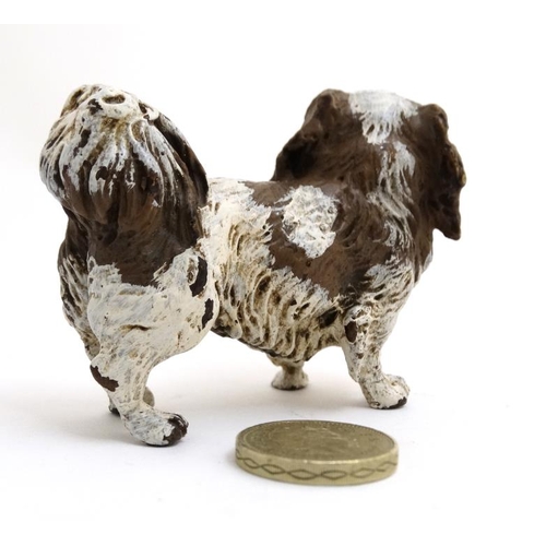 264 - Cold Painted Bronze : a scale  figure in liver and white of a Pekinese dog , marked ' Geshultz ' und... 