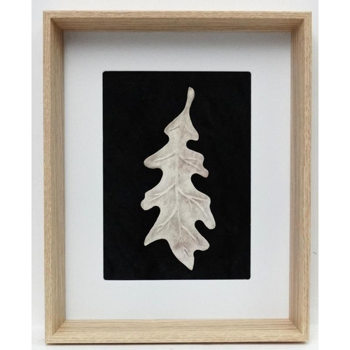 57 - Taxidermy : An antler carved oak leaf , mounted upon a black velvet background. Framed. Approximatel... 