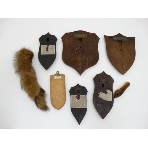 59 - Taxidermy : An assortment of Mammal shields , to include two with labels for Rowland Ward , two stam... 