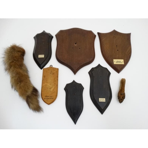 59 - Taxidermy : An assortment of Mammal shields , to include two with labels for Rowland Ward , two stam... 