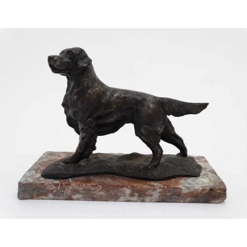 67 - Gun Dog : a bronzed sculpture of a Labrador Retriever stood on a rouge marble plinth together with a... 