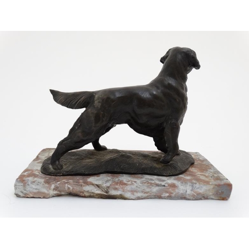 67 - Gun Dog : a bronzed sculpture of a Labrador Retriever stood on a rouge marble plinth together with a... 