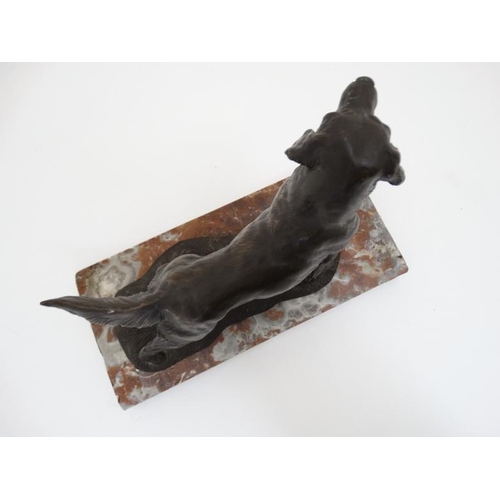 67 - Gun Dog : a bronzed sculpture of a Labrador Retriever stood on a rouge marble plinth together with a... 