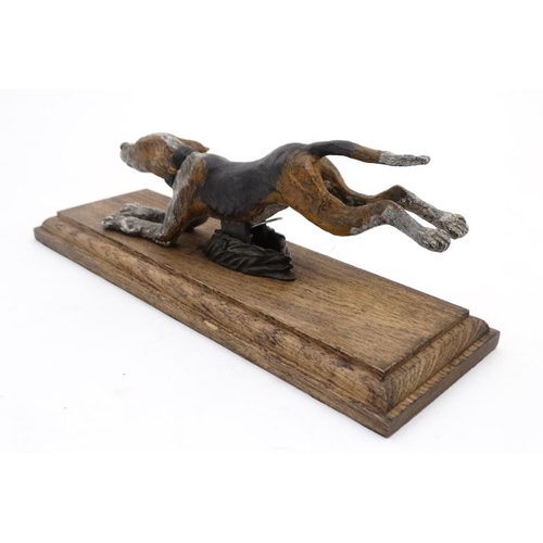 68 - A hunting paper clip in the form of a 21stC cold painted cast bronze hound on oak base. The base 11'... 