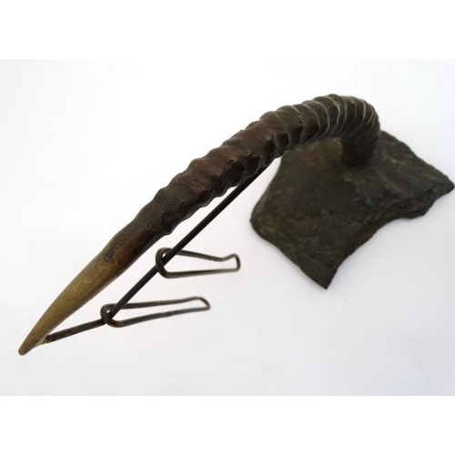 71 - A cast bronze desk calendar  in the form of an African Deer antler with hanging sections for numbers... 