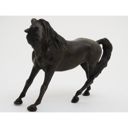 74 - Equine Bronze : Solid cast patinated bronze Sculpture ' Startled Horse ' an Arab Horse Titled under ... 