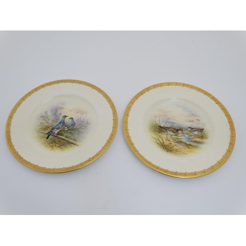 77 - A pair of c1910 Coalport Game Bird hand painted cabinet plates , titled 'Wood Pigeon' and 'Snipe', e... 