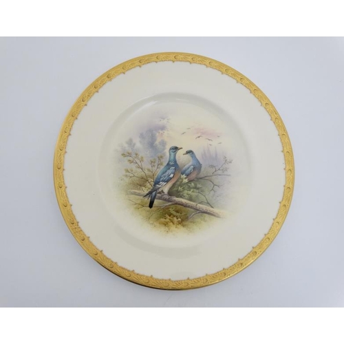 77 - A pair of c1910 Coalport Game Bird hand painted cabinet plates , titled 'Wood Pigeon' and 'Snipe', e... 