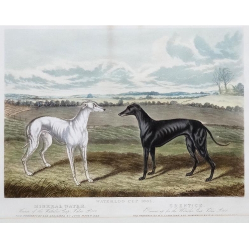 83 - Hare Coursing / Longdogs, Edwin H Hunt after Richard Powell, Hand coloured engraving, ' Waterloo Cup... 