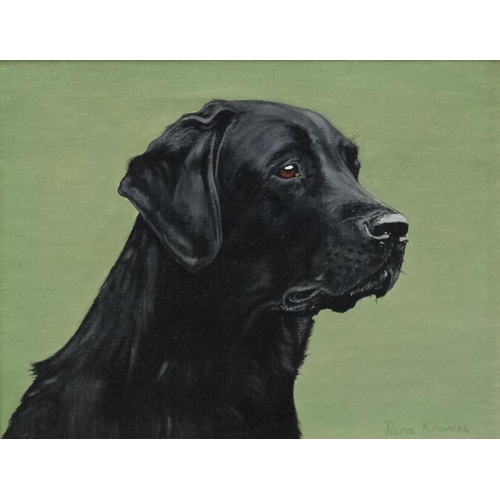 88 - Rona Knowles c.1982 Oil on canvas , Canine School Black Labrador Gun dog Signed lower right  14 x 18... 