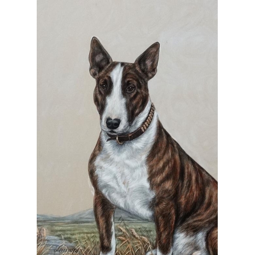 89 - K.C Brown (Act.1937-1962) Canine School, Pen ink watercolour and Gouache, ' Thumper '  Dog portrait ... 