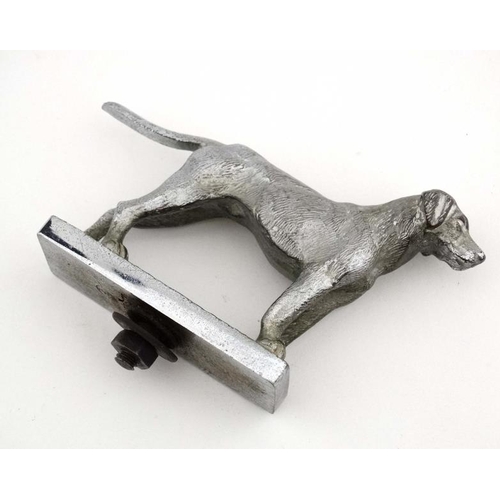 89A - Car mascot / Hood Ornament : Louis Lejeune Ltd a signed and chromed figure of a standing Labrador do... 