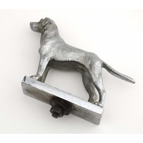 89A - Car mascot / Hood Ornament : Louis Lejeune Ltd a signed and chromed figure of a standing Labrador do... 