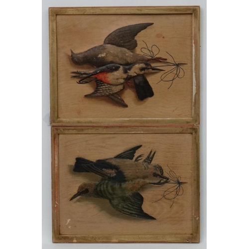 94 - French Trompe l Oeil  c.1910 Embossed card / polychromed lithographs x 2 Two pairs of birds hanging ... 