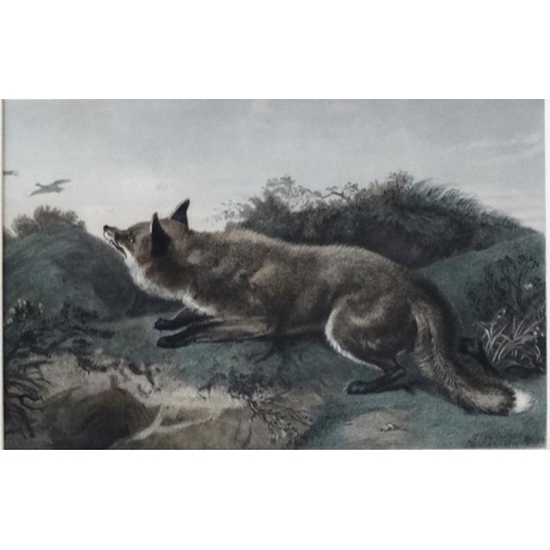 95 - Hunting / Widlife, After Charles George  Lewis (1808-1880) after Edwin Landseer, Coloured etching, '... 