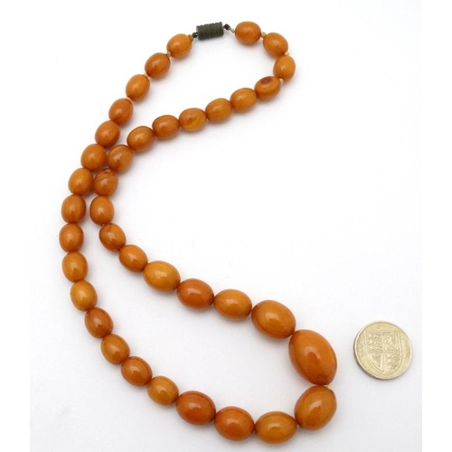 1002 - A vintage graduated bead necklace of Butterscotch coloured Bakelite style beads. Approx 20'' long