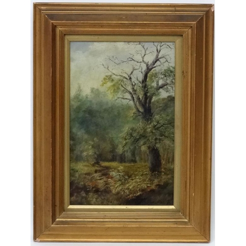 11 - W Brafield C. 1900, Oil on canvas, Woodland scene , Signed lower right, 12 x 8''.