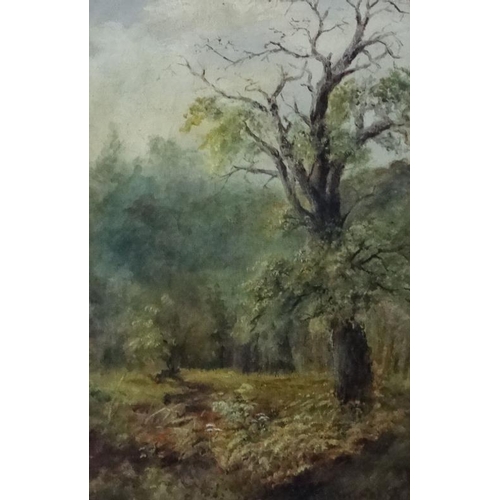 11 - W Brafield C. 1900, Oil on canvas, Woodland scene , Signed lower right, 12 x 8''.