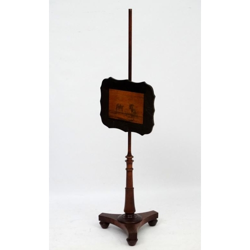 199 - An early 19thC Rosewood pole screen, standing 52'' high