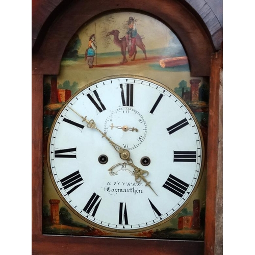 272 - Longcase : D Tucker , Camarthen ( 1868-75 according to Loomes) a painted break arch 13'' Grandfather... 