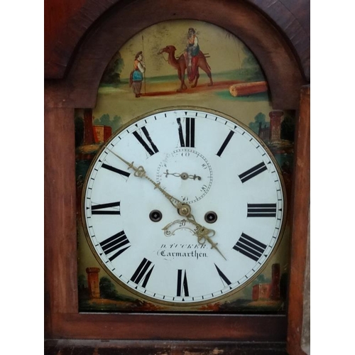 272 - Longcase : D Tucker , Camarthen ( 1868-75 according to Loomes) a painted break arch 13'' Grandfather... 