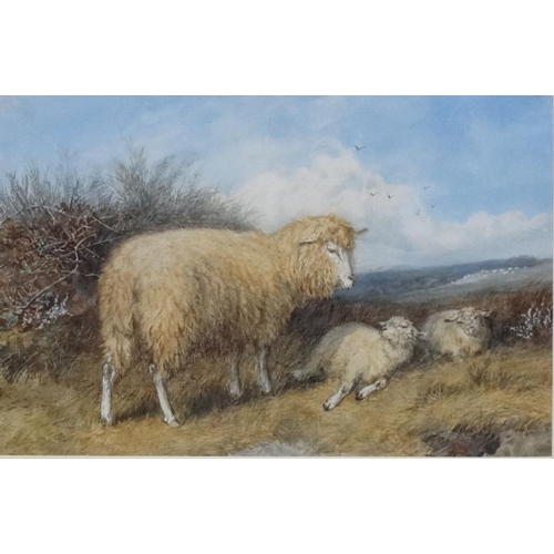 35 - Indistinctly signed, Follower of Thomas Sydney Cooper,  Watercolour, Study of sheep in landscape, Si... 