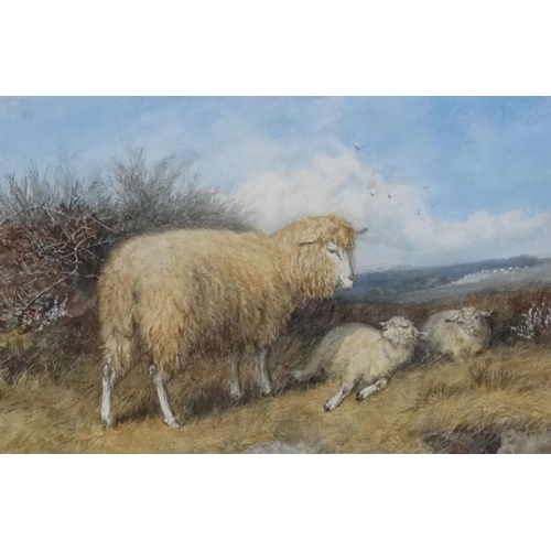 35 - Indistinctly signed, Follower of Thomas Sydney Cooper,  Watercolour, Study of sheep in landscape, Si... 